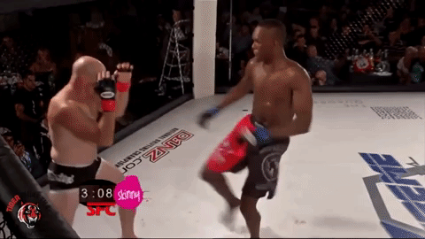 giphy.gif