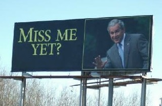 bush.jpg