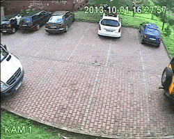 tumblr_mumd9eUjNV1qbtqgmo1_250.gif