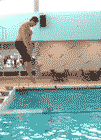 tumblr_mc9ttdXjYb1revkmao1_250.gif
