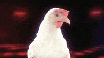 200.gif