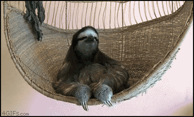 7813.gif