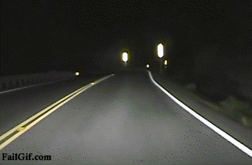 FGhitrun.gif