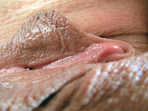 tumblr_mgh2udEQwk1rn1rjvo1_500.jpg