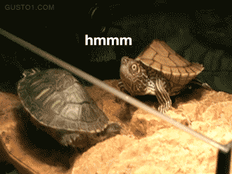 dayum1.gif
