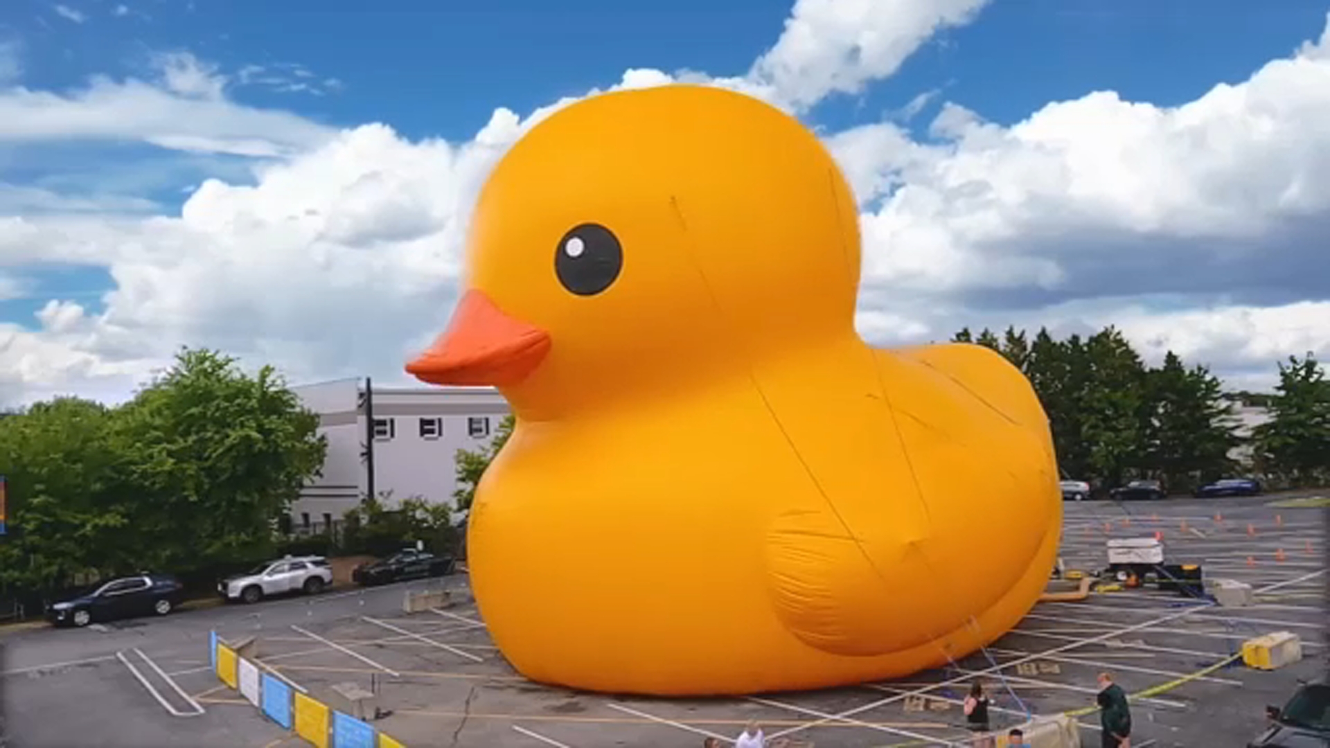 15072349_071924-wtvd-worlds-largest-duck.jpg