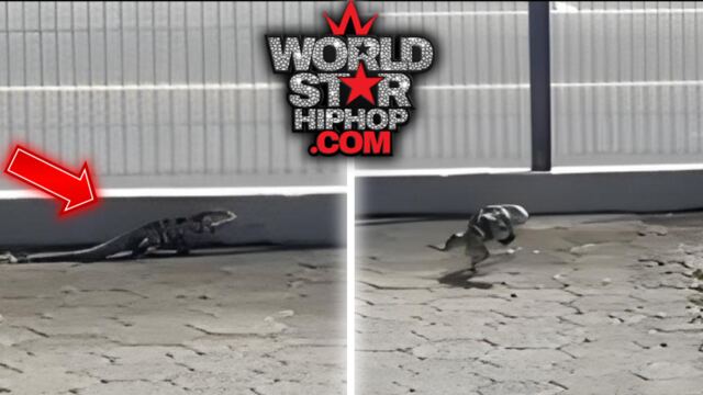 worldstar.com