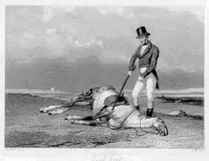 beat-a-dead-horse-silly.gif