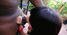 tumblr_nbvv7yE2JB1smf3cbo3_400.gif