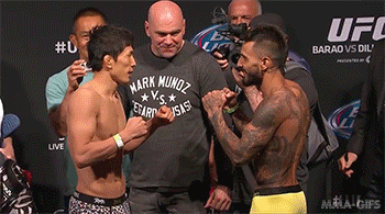 tumblr_n6274dr0jV1ry1rm7o2_r1_400.gif