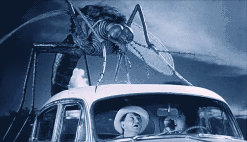732835646_pgcuui2mqfeg1.gif