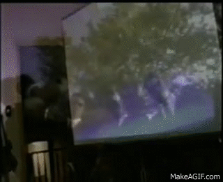 KtyR.gif