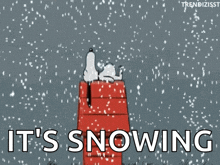it%27s-snowing-snowing.gif