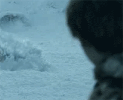 Skeletons-2.gif