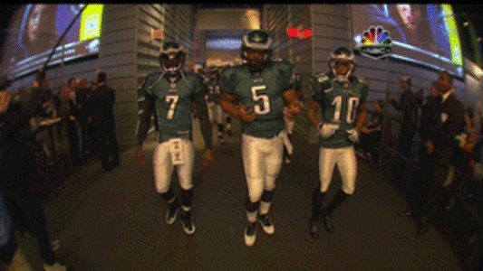 mcnabb-going-in.gif