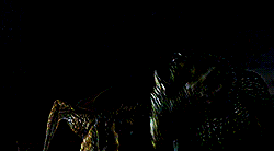 tumblr_n78qhtjqje1ty3a2co5_250.gif