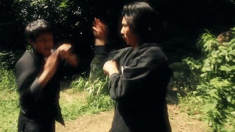 tumblr_pkckctGx0o1v6w3juo6_500.gif