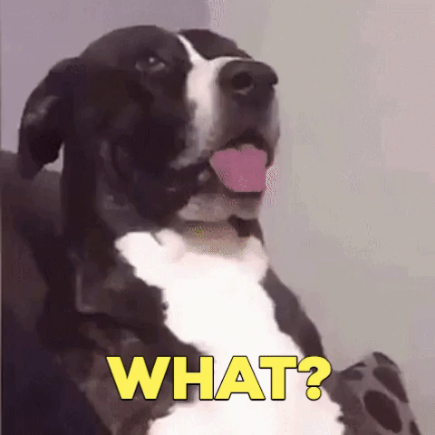 1ad6c79db92f039c93fd152ce5080509.gif