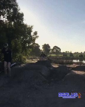 1.gif