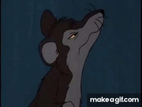 cfpNrz.gif