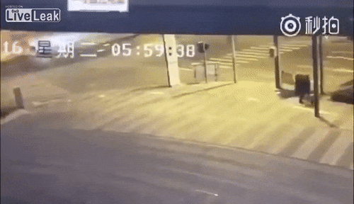 tumblr_o845mh3r3X1ue9j4wo1_500.gif