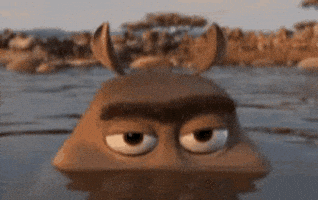 hippolook.gif