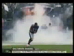 14.gif