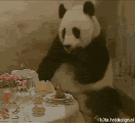 163847.gif