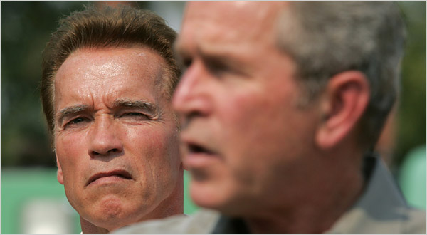 26bush.600.jpg