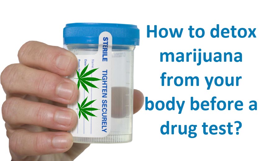 3743_Utqf_detoxcannabisdrugtest.jpg