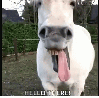 605f89878dfdba790d4f025888503f06.gif