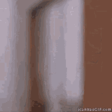 asian-guy.gif
