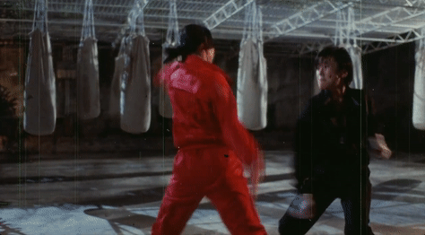 tumblr_p8xro1vw7M1v6w3juo3_500.gif