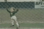21c84eq.gif