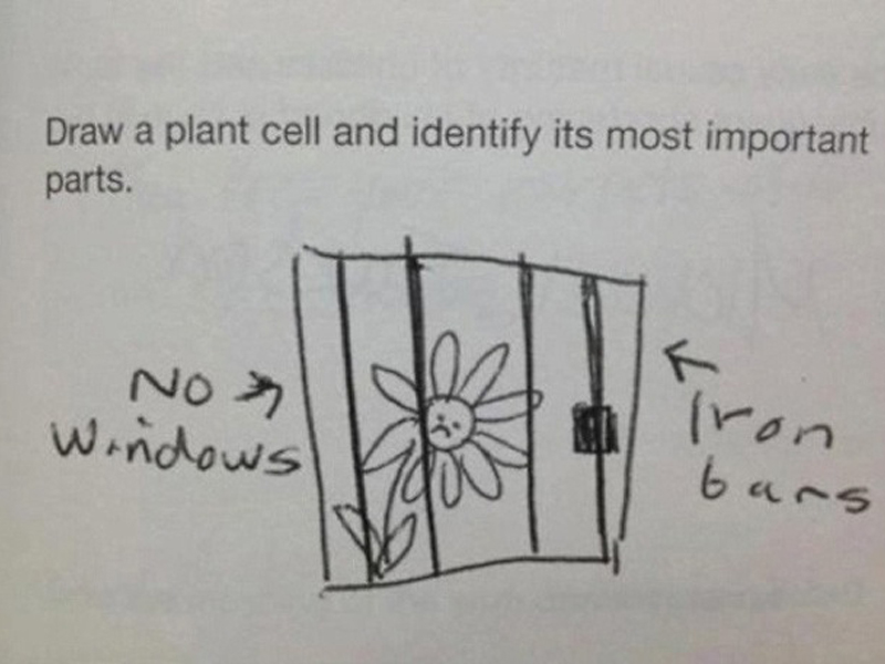 brilliant-kids-test-answers-7.jpg