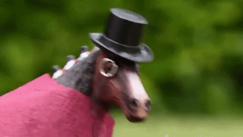 giphy.gif