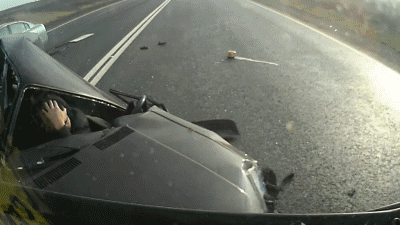 tumblr_mm6gyzU3r81s96utdo1_400.gif