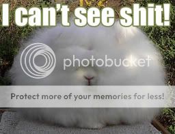 cant-see-bunny.jpg