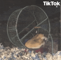 200.gif