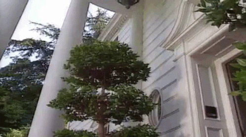 tv-funny.gif