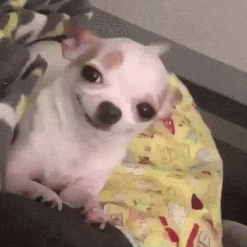 a1b38d7a1df454da8ab3b1fbb4bf8b43.gif