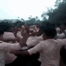 fight-group-fight.gif