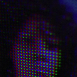 pixeldrain.com