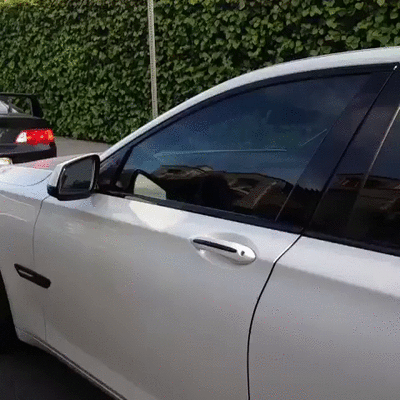 Robbery-Fail.gif