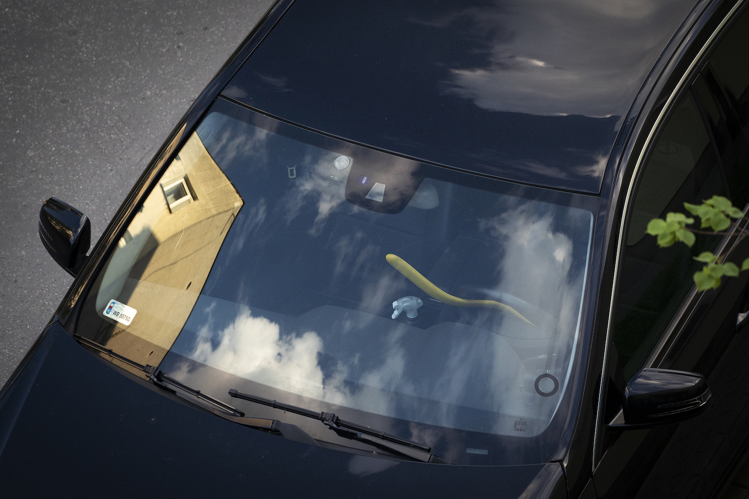 car-with-steering-wheel-lock.jpg