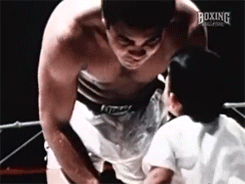 tumblr_n31vytlQPs1six5o1o2_250.gif