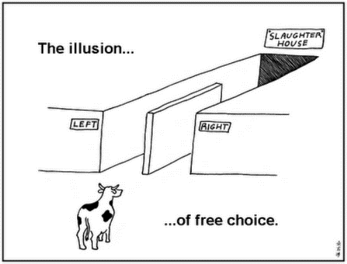 political-choice-cartoon.png