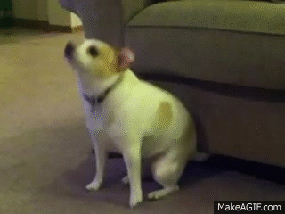 XQNsPX.gif