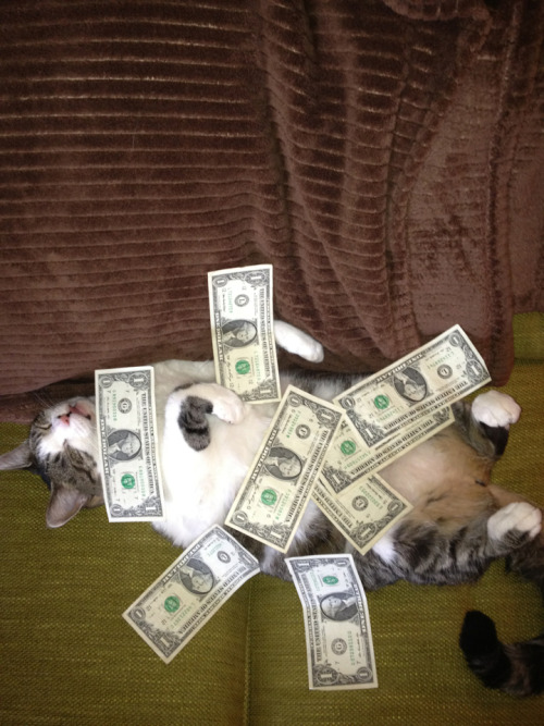 tumblr_ma7jnwGAJM1qi1uoeo1_500.jpg