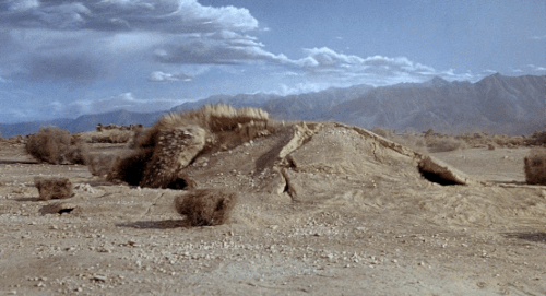 tumblr_oz1qiiGioy1wzw0ebo2_500.gif